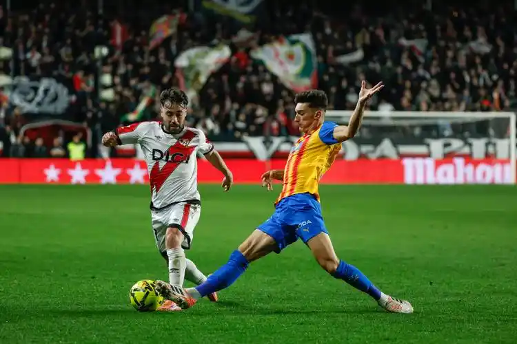 雨燕免费直播在线观看